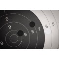 Naklejki do tarcz strzelniczych Avery Zweckform 19 mm 3522 czarne
