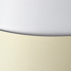 Galeria Papieru Karton ozdobny  A4 Kora kremowy 20 szt./op. 230 g/m2