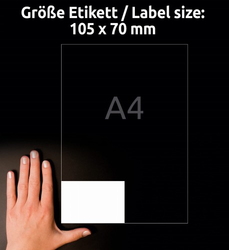 3_3426_4004182034262.jpg