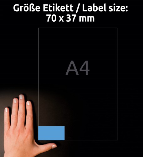 3_3449_4004182034491.jpg