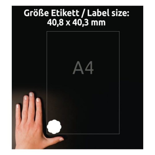 3_5084_4004182050842.jpg