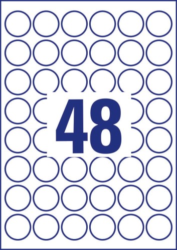 3_6223-10_4004182162026.jpg