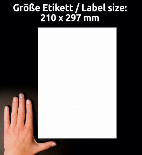 3_L4775-20_4004182047750.jpg