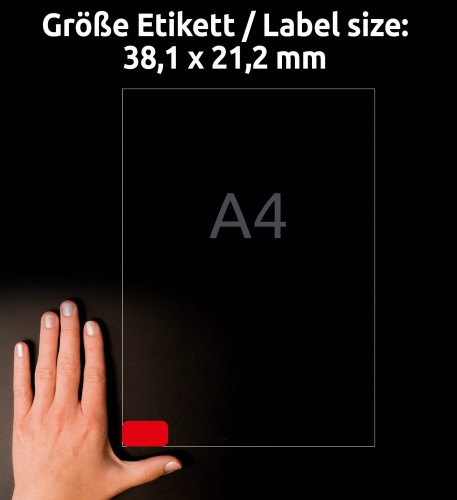 3_L4790-20_4004182647905.jpg