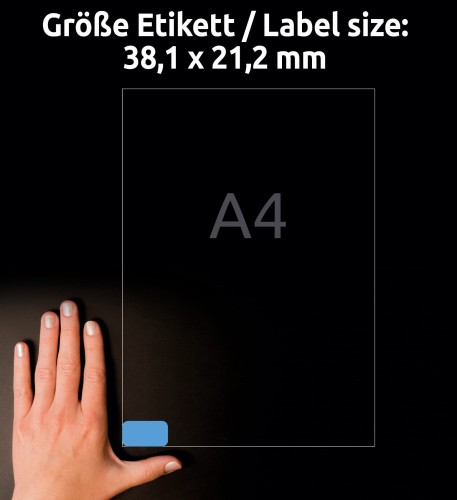 3_L4791-20_4004182647912.jpg