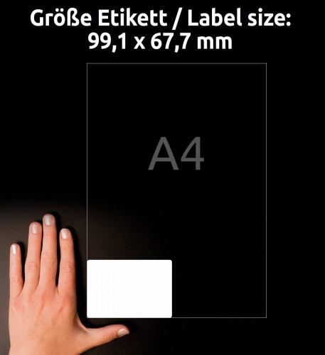 3_L7765-40_4004182230244.jpg