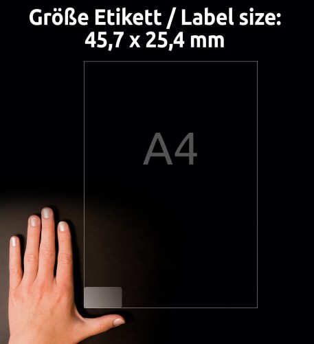 3_L7781-25_4004182252536.jpg