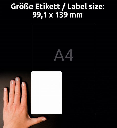 3_L7915-10_4004182068045.jpg