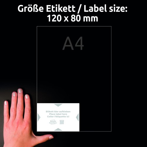 3_8001-5_4004182334973.jpg