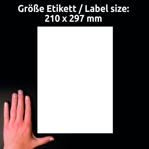 3_L9001-10_4004182334904.jpg