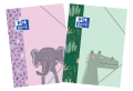 64715.png