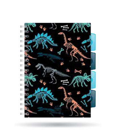 62055