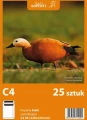C4SK25szt.webp