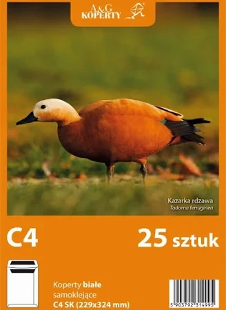 C4SK25szt.webp