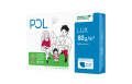 pollux a4.png