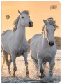 Zeszyt A5 16# UV Wild Horses 5902277366320 (1).jpg