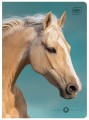 Zeszyt A5 16# UV Wild Horses 5902277366320 (2).jpg