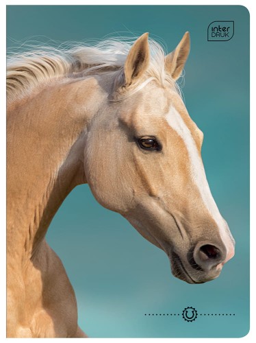 Zeszyt A5 16# UV Wild Horses 5902277366320 -4.jpg