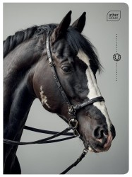 Interdruk Zeszyt A5 32 kartek w kratkę 70g Wild Horses