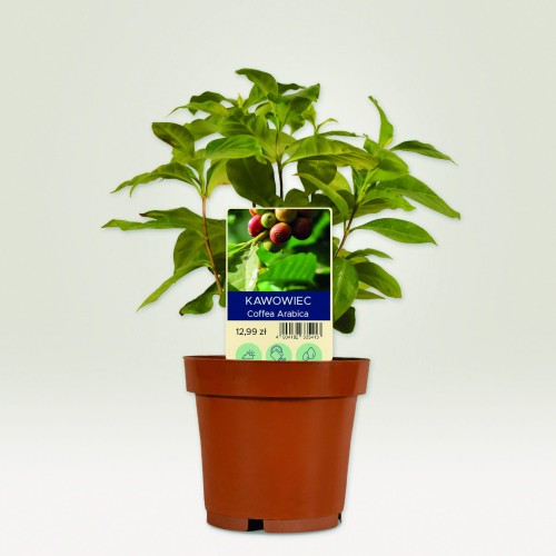 2_T3006-10_4004182335413.jpg