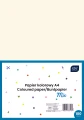 Interdruk Papier kolorowy A4 Basic 100 ark.MIX